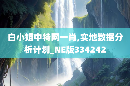 白小姐中特网一肖,实地数据分析计划_NE版334242