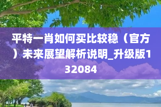 平特一肖如何买比较稳（官方）未来展望解析说明_升级版132084