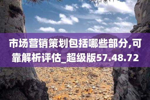 市场营销策划包括哪些部分,可靠解析评估_超级版57.48.72