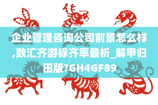 企业管理咨询公司前景怎么样,数汇齐游标齐率最析_解甲归田版?GH4GF89