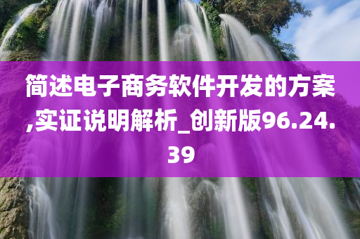 简述电子商务软件开发的方案,实证说明解析_创新版96.24.39