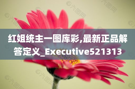 红姐统主一图库彩,最新正品解答定义_Executive521313