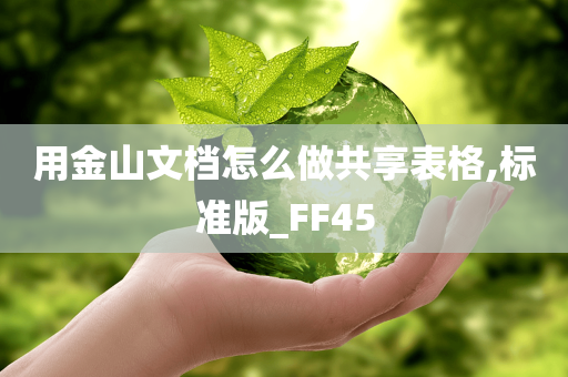 用金山文档怎么做共享表格,标准版_FF45