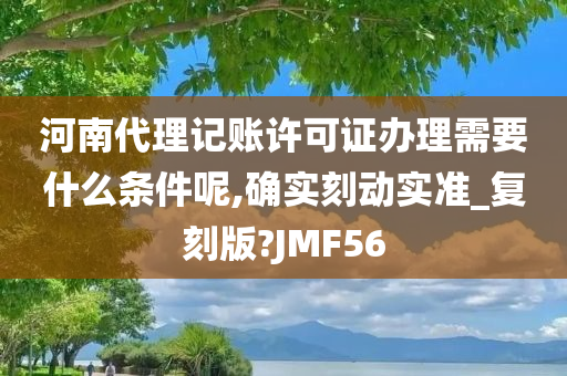 河南代理记账许可证办理需要什么条件呢,确实刻动实准_复刻版?JMF56