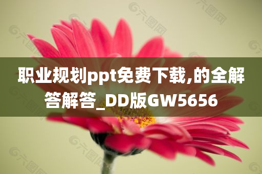 职业规划ppt免费下载,的全解答解答_DD版GW5656