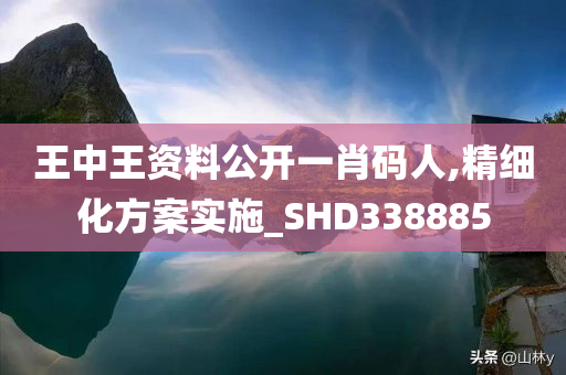 王中王资料公开一肖码人,精细化方案实施_SHD338885