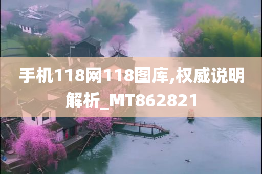 手机118网118图库,权威说明解析_MT862821