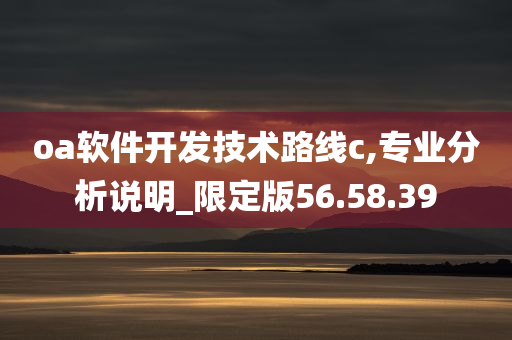 oa软件开发技术路线c,专业分析说明_限定版56.58.39