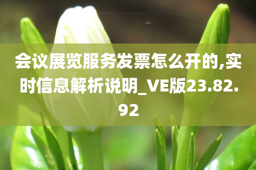 会议展览服务发票怎么开的,实时信息解析说明_VE版23.82.92