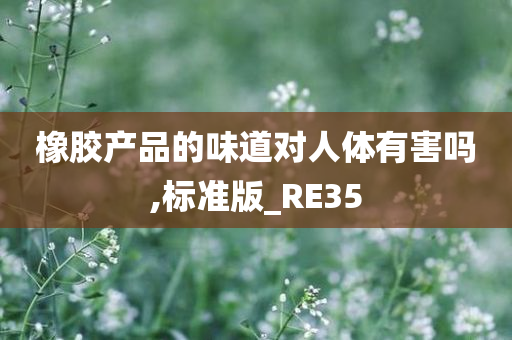 橡胶产品的味道对人体有害吗,标准版_RE35