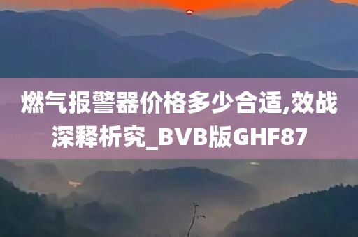 燃气报警器价格多少合适,效战深释析究_BVB版GHF87