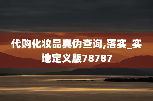 代购化妆品真伪查询,落实_实地定义版78787