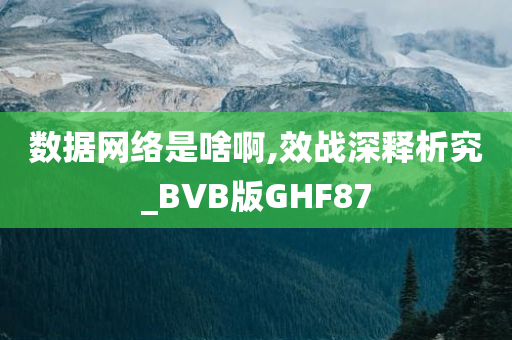 数据网络是啥啊,效战深释析究_BVB版GHF87