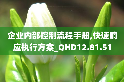 企业内部控制流程手册,快速响应执行方案_QHD12.81.51