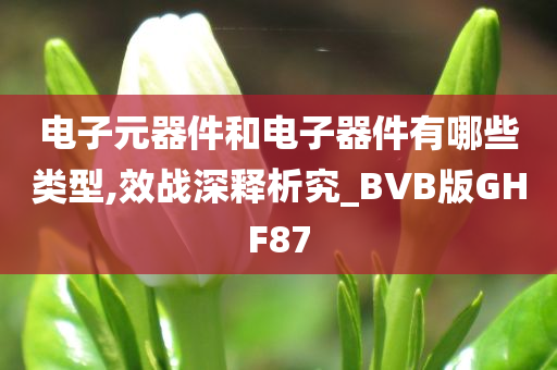 电子元器件和电子器件有哪些类型,效战深释析究_BVB版GHF87