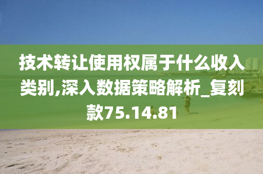 技术转让使用权属于什么收入类别,深入数据策略解析_复刻款75.14.81