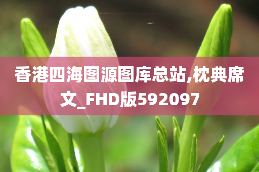 香港四海图源图库总站,枕典席文_FHD版592097