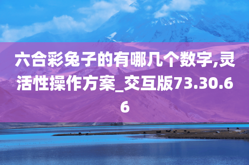 六合彩兔子的有哪几个数字,灵活性操作方案_交互版73.30.66