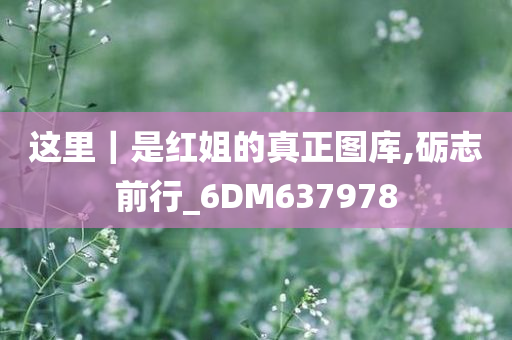 这里｜是红姐的真正图库,砺志前行_6DM637978