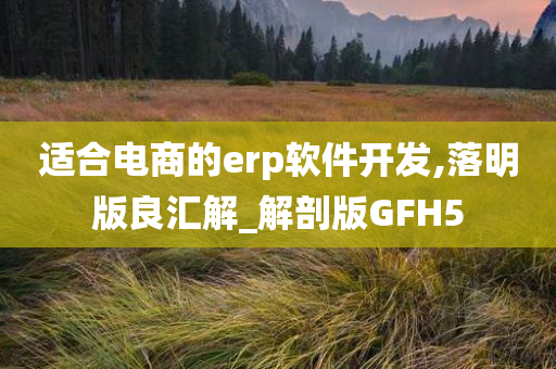 适合电商的erp软件开发,落明版良汇解_解剖版GFH5