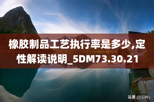 橡胶制品工艺执行率是多少,定性解读说明_5DM73.30.21