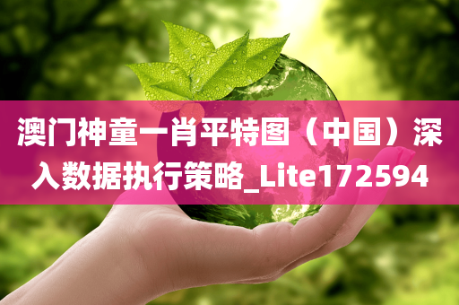 澳门神童一肖平特图（中国）深入数据执行策略_Lite172594