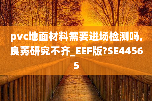 pvc地面材料需要进场检测吗,良莠研究不齐_EEF版?SE44565