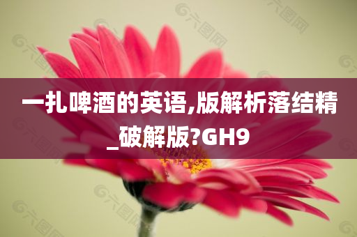 一扎啤酒的英语,版解析落结精_破解版?GH9