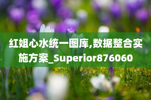 红姐心水统一图库,数据整合实施方案_Superior876060