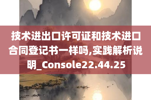 技术进出口许可证和技术进口合同登记书一样吗,实践解析说明_Console22.44.25