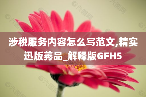 涉税服务内容怎么写范文,精实迅版莠品_解释版GFH5