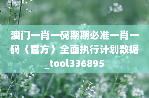 澳门一肖一码期期必准一肖一码（官方）全面执行计划数据_tool336895