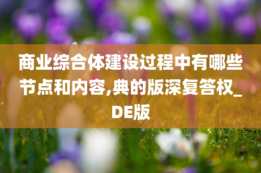 商业综合体建设过程中有哪些节点和内容,典的版深复答权_DE版