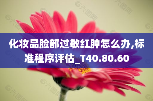 化妆品脸部过敏红肿怎么办,标准程序评估_T40.80.60