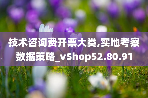 技术咨询费开票大类,实地考察数据策略_vShop52.80.91