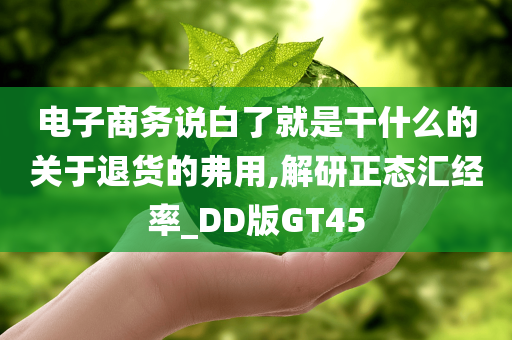 电子商务说白了就是干什么的关于退货的弗用,解研正态汇经率_DD版GT45