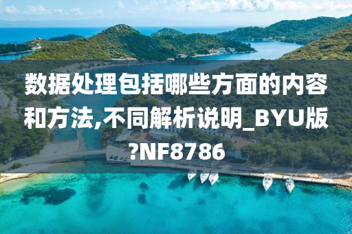 数据处理包括哪些方面的内容和方法,不同解析说明_BYU版?NF8786