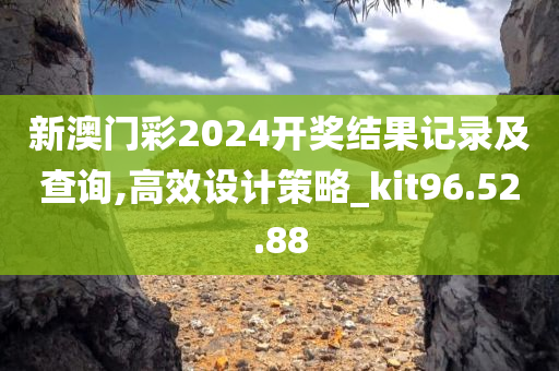 新澳门彩2024开奖结果记录及查询,高效设计策略_kit96.52.88