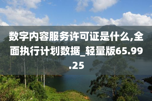 数字内容服务许可证是什么,全面执行计划数据_轻量版65.99.25