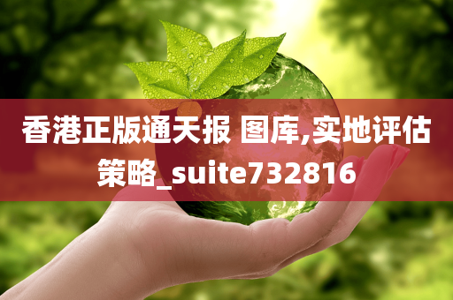 香港正版通天报 图库,实地评估策略_suite732816