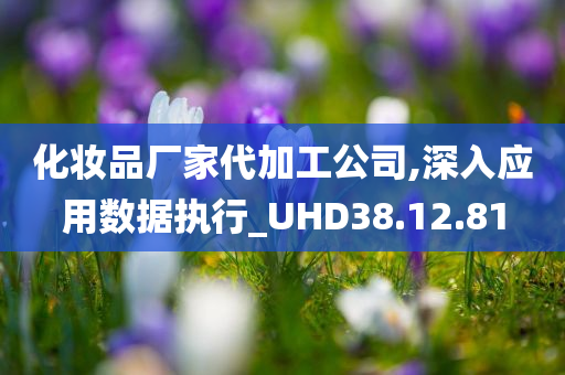 化妆品厂家代加工公司,深入应用数据执行_UHD38.12.81