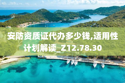 安防资质证代办多少钱,适用性计划解读_Z12.78.30