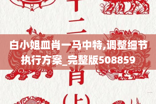 白小姐皿肖一马中特,调整细节执行方案_完整版508859