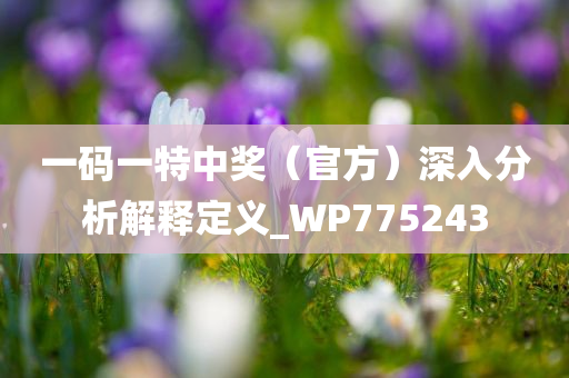 一码一特中奖（官方）深入分析解释定义_WP775243