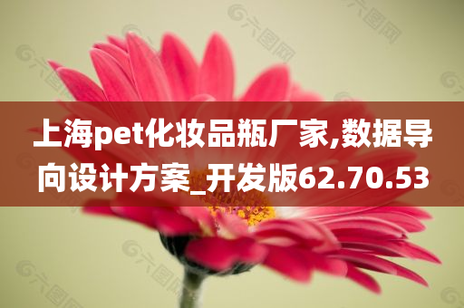 上海pet化妆品瓶厂家,数据导向设计方案_开发版62.70.53