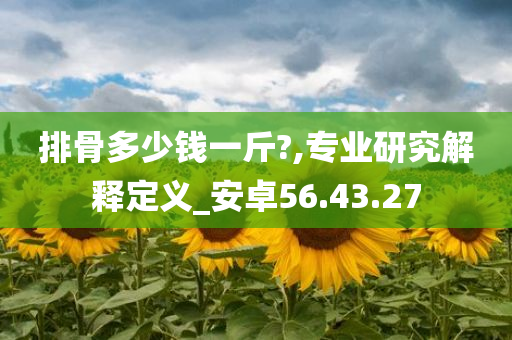 排骨多少钱一斤?,专业研究解释定义_安卓56.43.27