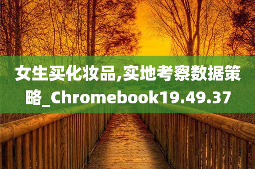 女生买化妆品,实地考察数据策略_Chromebook19.49.37