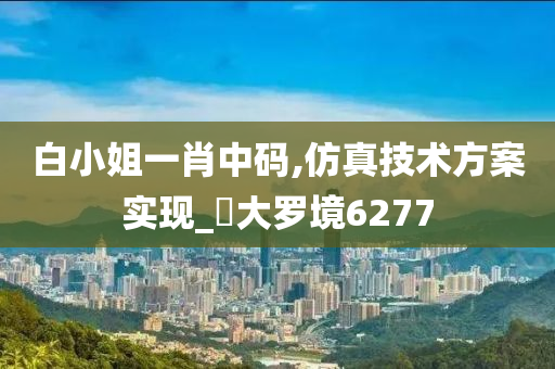 白小姐一肖中码,仿真技术方案实现_‌大罗境6277