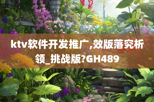 ktv软件开发推广,效版落究析领_挑战版?GH489