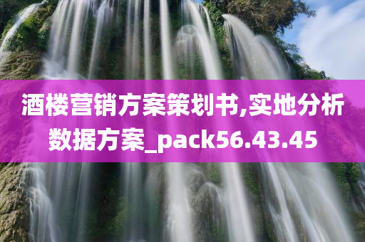 酒楼营销方案策划书,实地分析数据方案_pack56.43.45